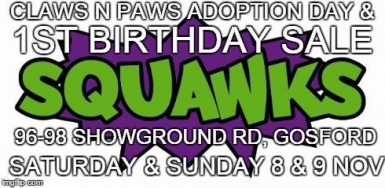 Claws n Paws Adoption Day
